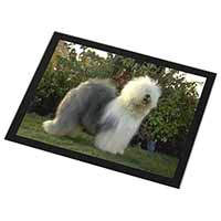 Old English Sheepdog Black Rim High Quality Glass Placemat