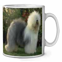 Old English Sheepdog Ceramic 10oz Coffee Mug/Tea Cup