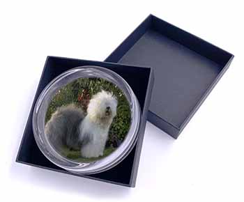 Old English Sheepdog Glass Paperweight in Gift Box