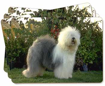 Old English Sheepdog Picture Placemats in Gift Box