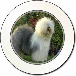 Old English Sheepdog Car or Van Permit Holder/Tax Disc Holder