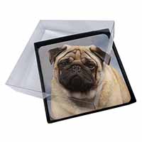 4x Fawn Pug Dog Picture Table Coasters Set in Gift Box