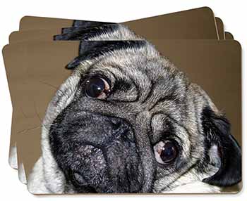 Cute Pug Dog Picture Placemats in Gift Box
