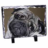 Cute Pug Dog, Stunning Photo Slate