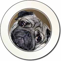 Cute Pug Dog Car or Van Permit Holder/Tax Disc Holder