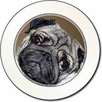 Cute Pug Dog Car or Van Permit Holder/Tax Disc Holder