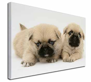 Pugzu Dog Canvas X-Large 30"x20" Wall Art Print