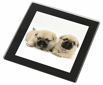 Pugzu Dog Black Rim High Quality Glass Coaster