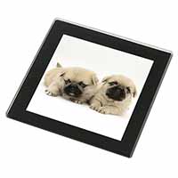 Pugzu Dog Black Rim High Quality Glass Coaster