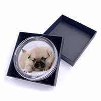Pugzu Dog Glass Paperweight in Gift Box