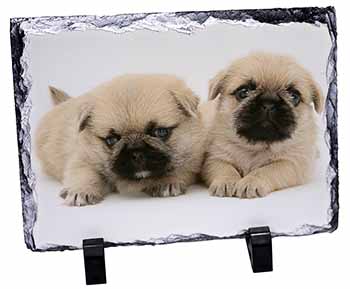 Pugzu Dog, Stunning Photo Slate