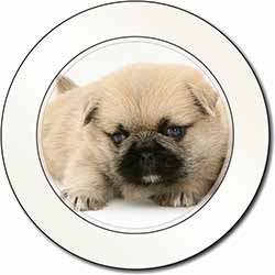 Pugzu Dog Car or Van Permit Holder/Tax Disc Holder