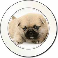 Pugzu Dog Car or Van Permit Holder/Tax Disc Holder