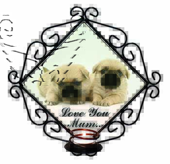 Pugzu Dog 