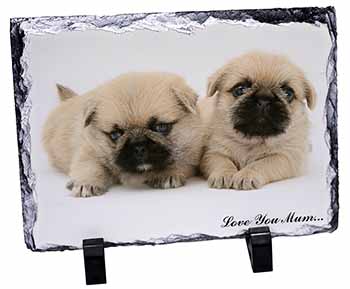 Pugzu Dog 