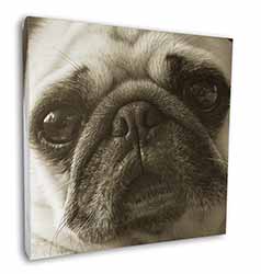 Cute Pug Dog Square Canvas 12"x12" Wall Art Picture Print
