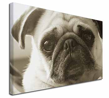 Cute Pug Dog Canvas X-Large 30"x20" Wall Art Print