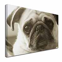 Cute Pug Dog Canvas X-Large 30"x20" Wall Art Print