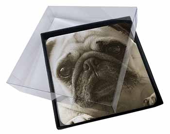 4x Cute Pug Dog Picture Table Coasters Set in Gift Box