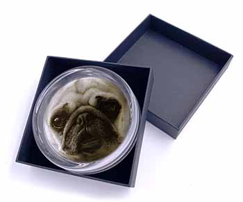 Cute Pug Dog Glass Paperweight in Gift Box