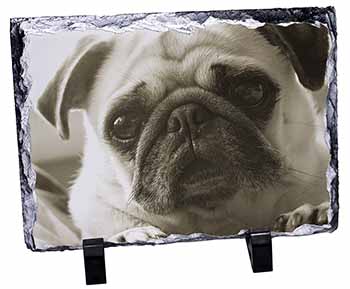 Cute Pug Dog, Stunning Photo Slate