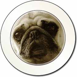 Cute Pug Dog Car or Van Permit Holder/Tax Disc Holder