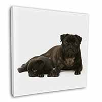 Pug Dog and Puppy Square Canvas 12"x12" Wall Art Picture Print