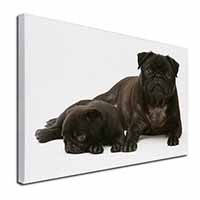 Pug Dog and Puppy Canvas X-Large 30"x20" Wall Art Print
