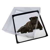 4x Pug Dog and Puppy Picture Table Coasters Set in Gift Box