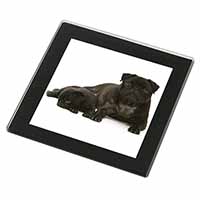 Pug Dog and Puppy Black Rim High Quality Glass Coaster
