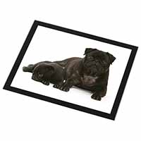 Pug Dog and Puppy Black Rim High Quality Glass Placemat