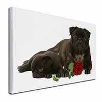 Black Pug Dogs with Red Rose Canvas X-Large 30"x20" Wall Art Print