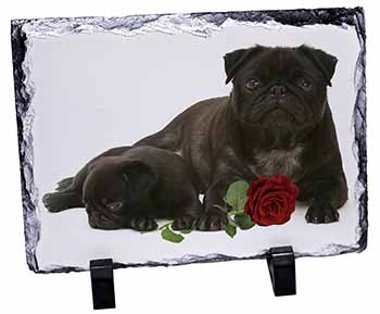 Black Pug Dogs with Red Rose, Stunning Photo Slate