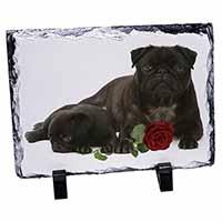 Black Pug Dogs with Red Rose, Stunning Photo Slate