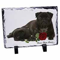 Black Pugs+Rose 