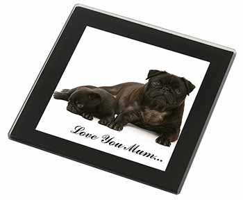 Pug Dog and Puppy 