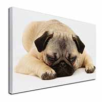 Pug Dog Canvas X-Large 30"x20" Wall Art Print