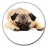 Pug Dog Fridge Magnet Printed Full Colour