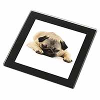Pug Dog Black Rim High Quality Glass Coaster