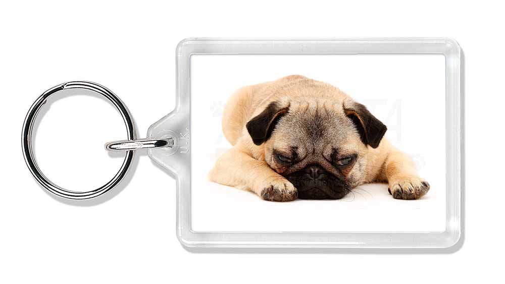 pug products gifts pug photo keyring animal gift id 23150 pug products gifts pug photo keyring animal gift id 23150