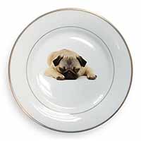 Pug Dog Gold Rim Plate Printed Full Colour in Gift Box