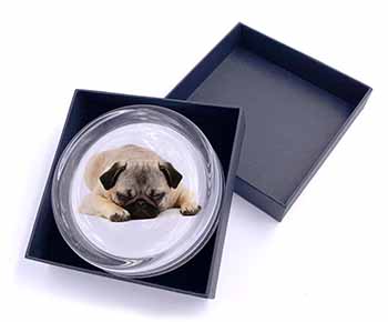 Pug Dog Glass Paperweight in Gift Box