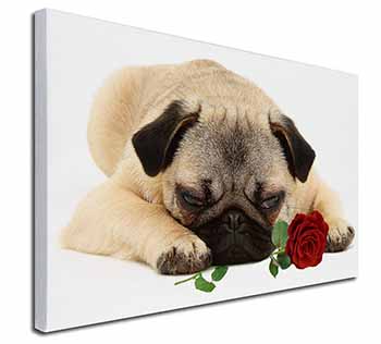 Pug Dog with a Red Rose Canvas X-Large 30"x20" Wall Art Print