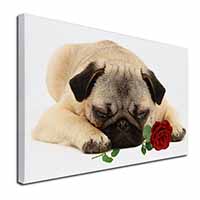 Pug Dog with a Red Rose Canvas X-Large 30"x20" Wall Art Print