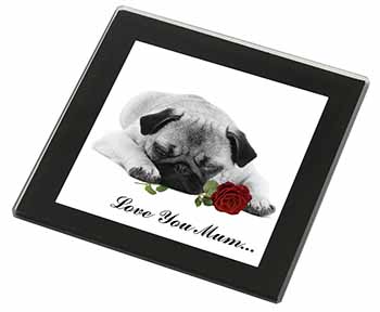 Pug (B+W) with Rose 