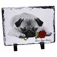 Pug (B+W) with Rose 