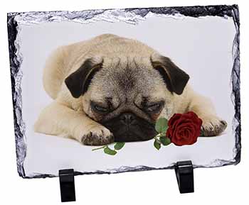 Pug Dog with a Red Rose, Stunning Photo Slate