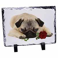 Pug Dog with a Red Rose, Stunning Photo Slate