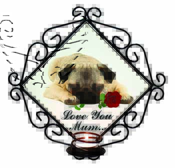 Fawn Pug with Rose 