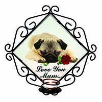 Fawn Pug with Rose 